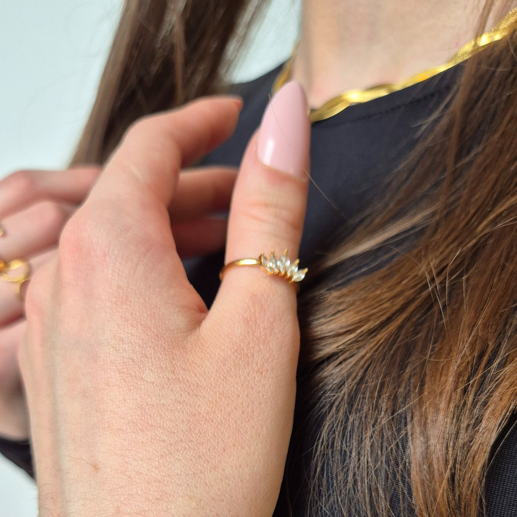 Corona di Diamanti image 1